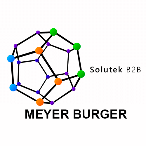 Meyer Burger