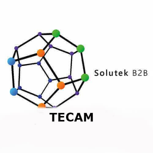 Tecam